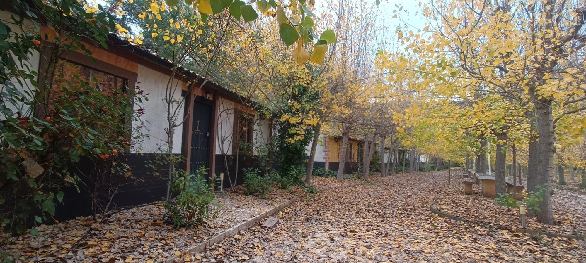 Casas Rurales Vado Del Rio Tus Cortijo Prados المظهر الخارجي الصورة