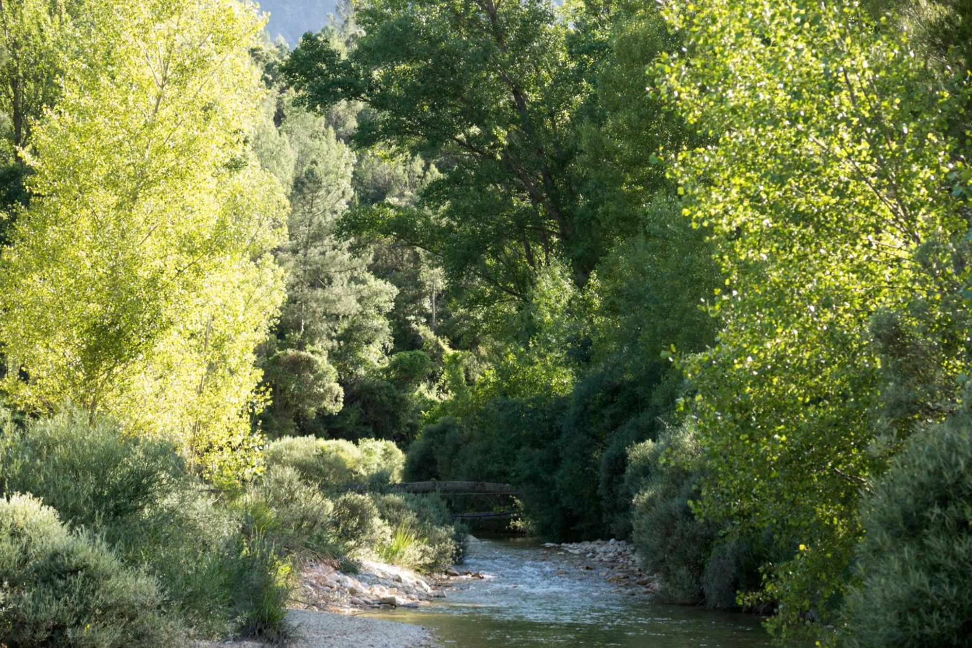 Casas Rurales Vado Del Rio Tus Cortijo Prados المظهر الخارجي الصورة