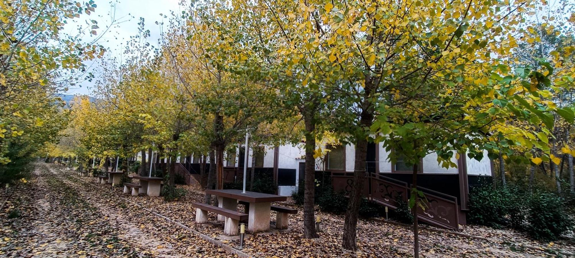 Casas Rurales Vado Del Rio Tus Cortijo Prados المظهر الخارجي الصورة