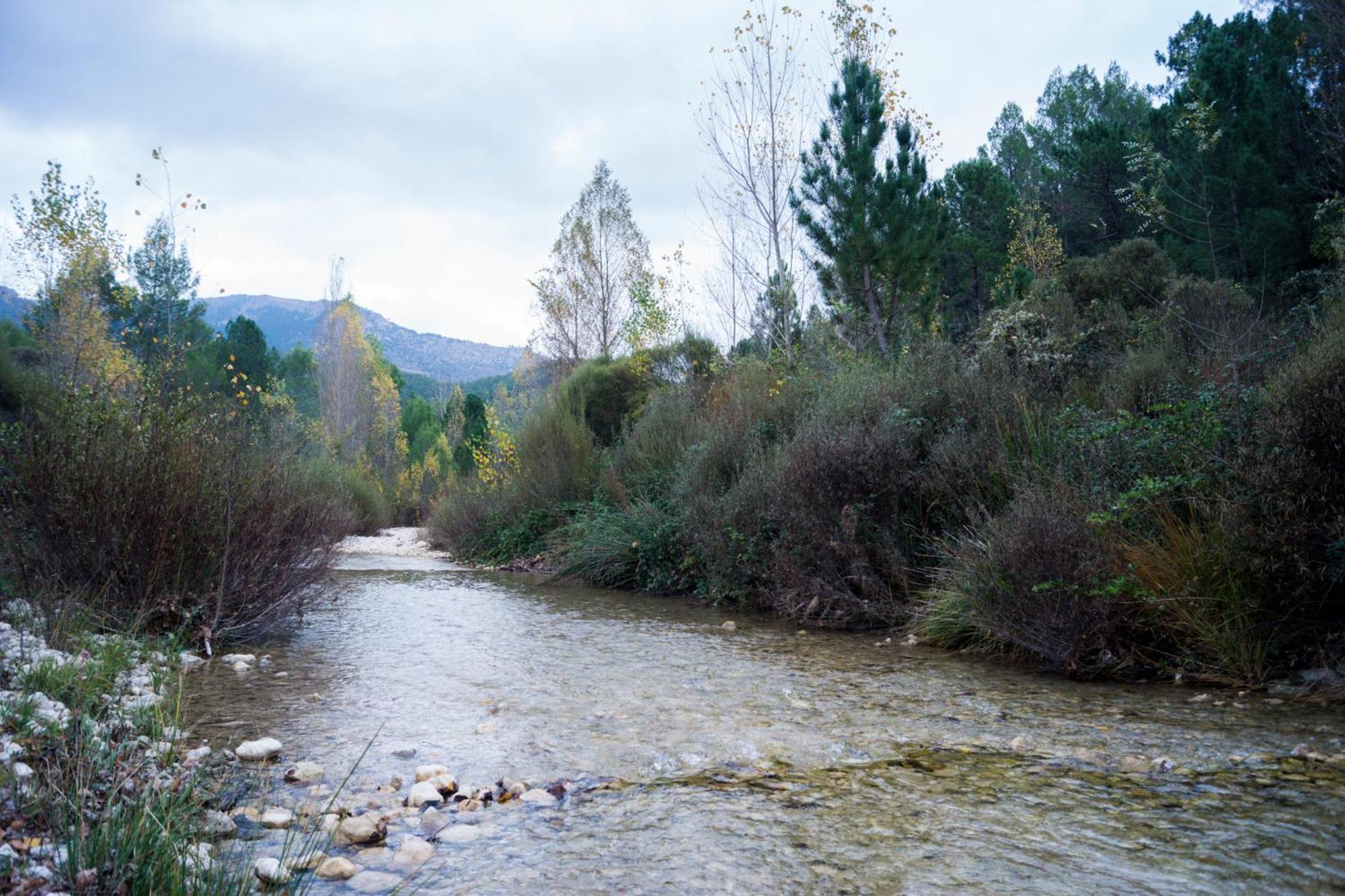 Casas Rurales Vado Del Rio Tus Cortijo Prados المظهر الخارجي الصورة